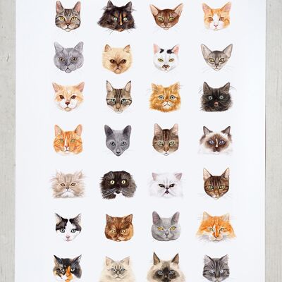 Cat Poster in A2 size (limited edition)