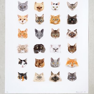 Katzenplakat im Format A2 (limitierte Auflage)