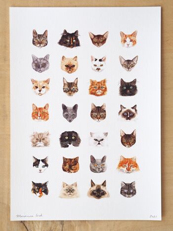 Affiche de chat au format A4 1