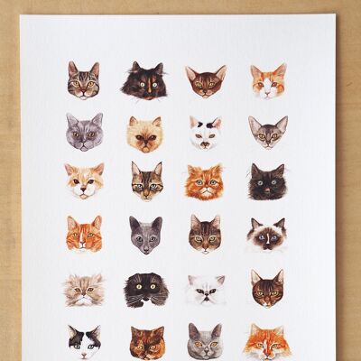 Cat poster in A4 size