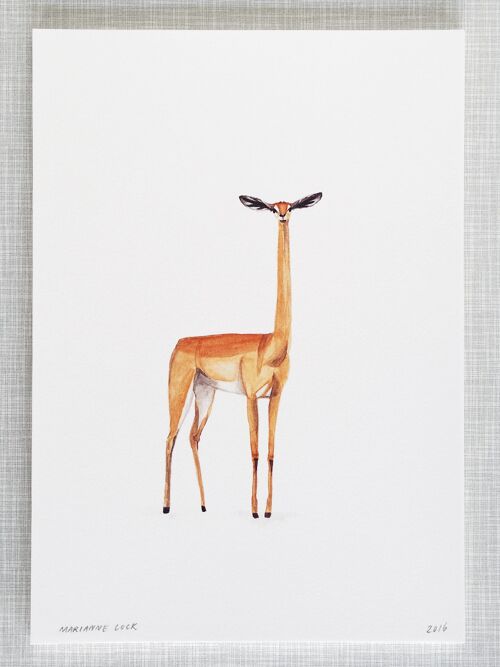 Giraffe Gazelle Print in A4 size