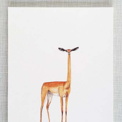 Giraffe Gazelle Print im Format A4