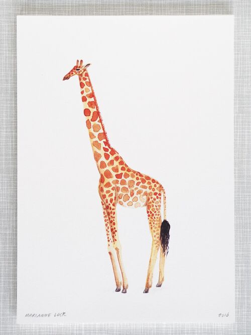Giraffe Print in A4 size