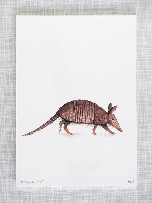 Armadillo Print in A4 size