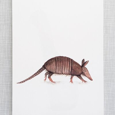 Armadillo Print in A4 size