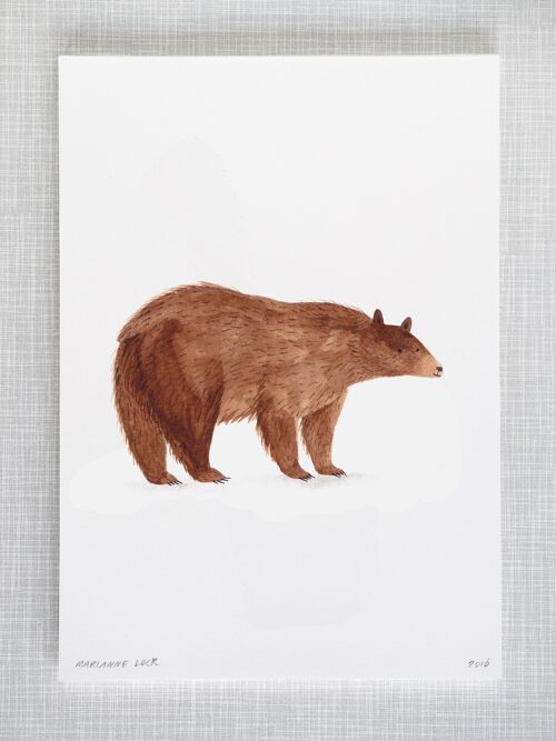 Bear Print in A4 size