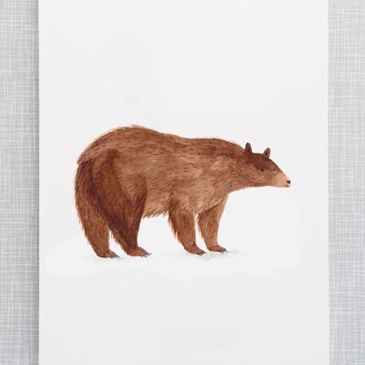 Bear Print in A4 size