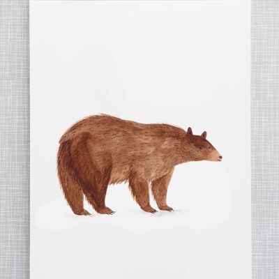 Impression d'ours au format A4