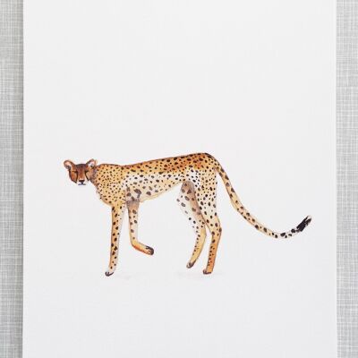Impresión de guepardo en tamaño A4