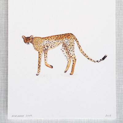 Impresión de guepardo en tamaño A4