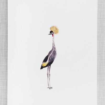 Crane bird Print in A4 size