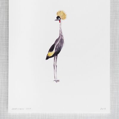 Stampa uccello gru in formato A4