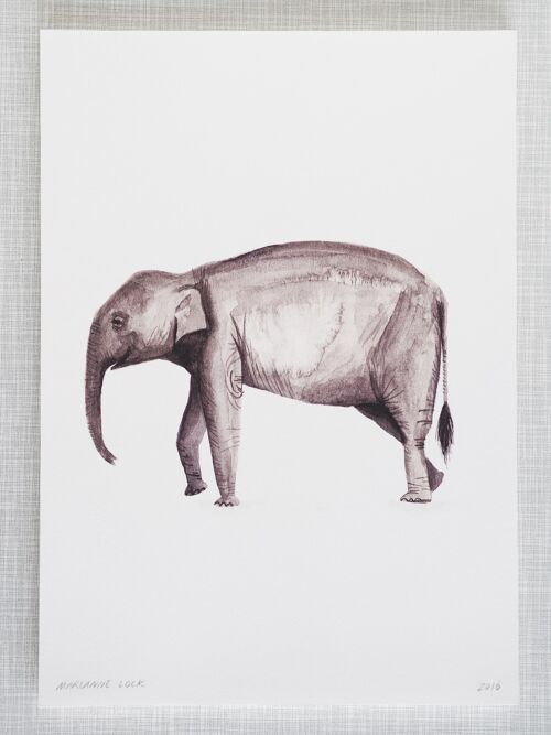 Elephant Print in A4 size