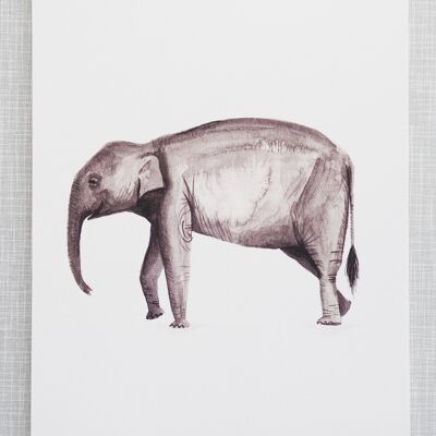 Elephant Print in A4 size