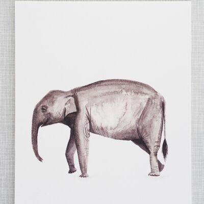Impression d'éléphant au format A4
