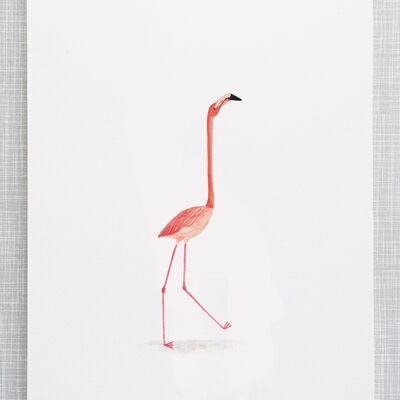 Flamingo-Druck im Format A4