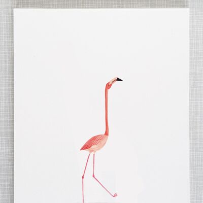 Flamingo-Druck im Format A4