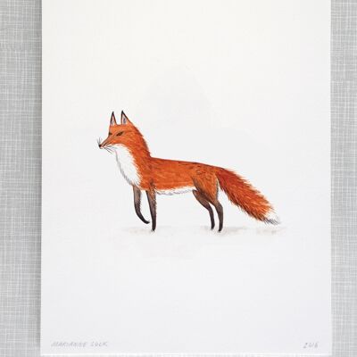 Fox Print in A4 size