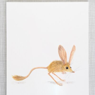Jerboa Print in A4 size