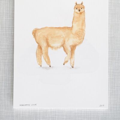 Llama Print in A4 size
