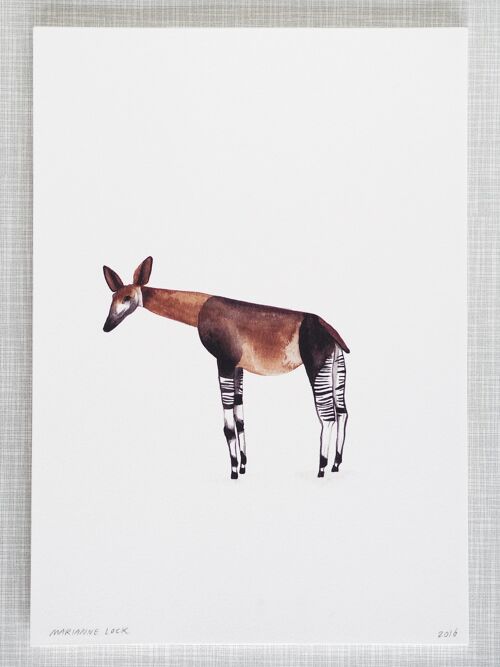 Okapi Print in A4 size