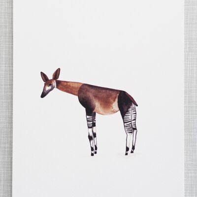 Okapi Print in A4 size