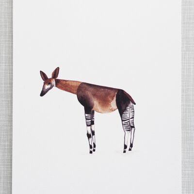 Okapi-Druck im Format A4