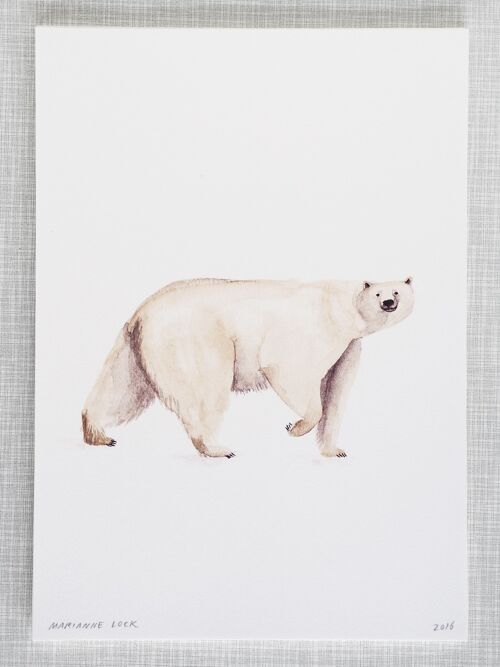 Polar bear Print in A4 size