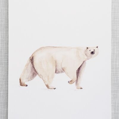 Impression d'ours polaire au format A4