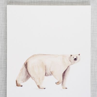 Impression d'ours polaire au format A4