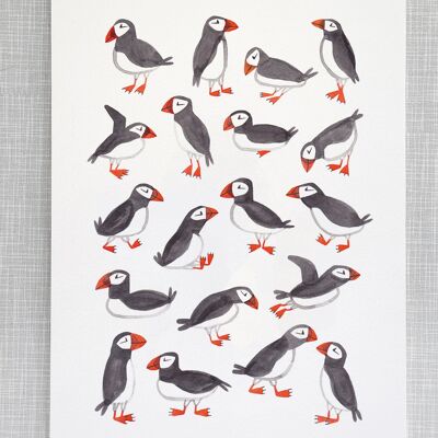Puffins Print in A4 size