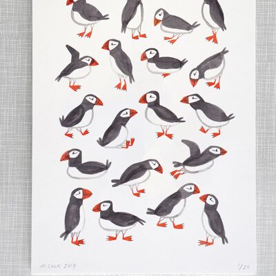 Puffins Print in A4 size