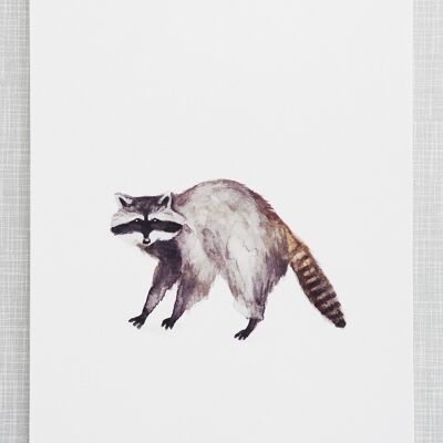 Raccoon Print in A4 size