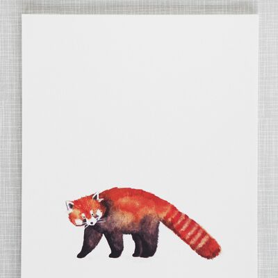 Impression de panda rouge au format A4