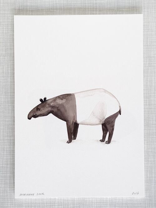 Tapir Print in A4 size