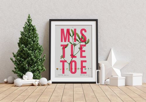 Mistletoe A4 Print