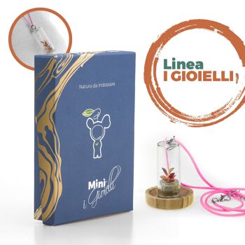 MINÌ®Jewellery Line - Assortiment recommandé de nos meilleurs produits.