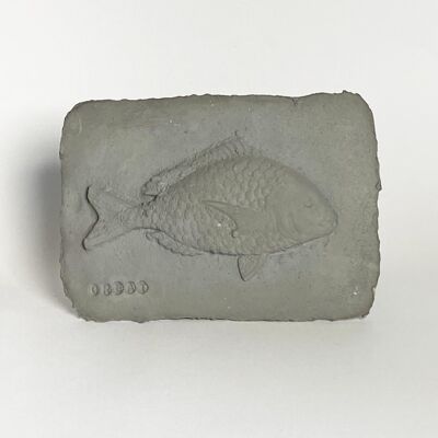 Piastrella Pesce RAW