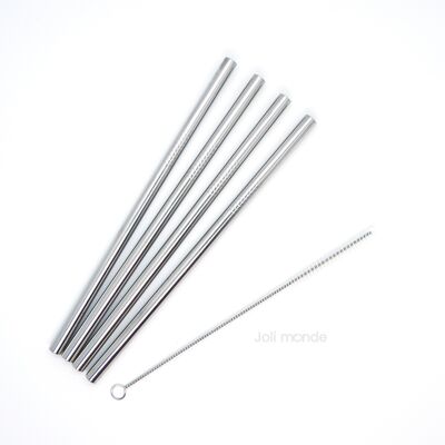 Set of 4 stainless steel straws - Smoothies