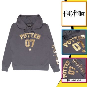 Harry Potter Gold Foil Potter 07 Adultes Sweat à capuche épais 3