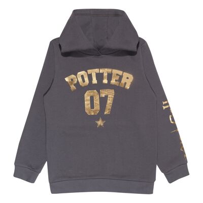 Harry Potter Gold Foil Potter 07 Sudadera con capucha para niños