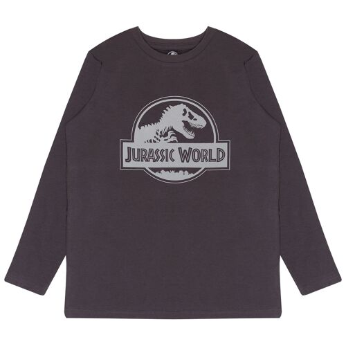 Jurassic World Full Logo Kids Long Sleeve T-Shirt