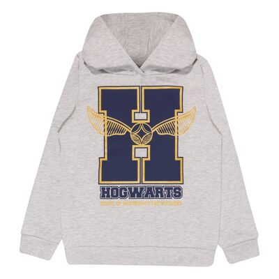 Harry Potter Glitter School Emblem Kids Pullover Hoodie