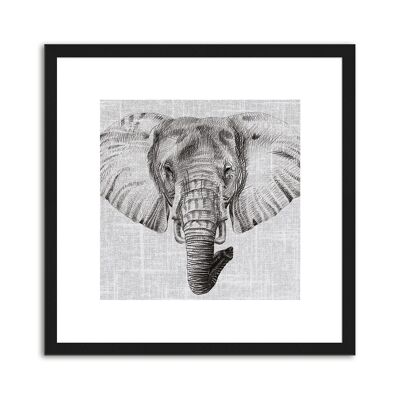 Design-Poster gerahmt: Elefant 30x30cm, Bild, Wandbild, Wanddekoration