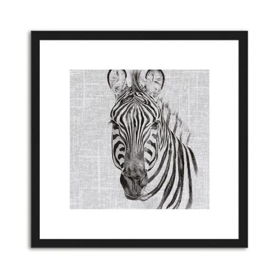 Design-Poster gerahmt: Zebra 30x30cm, Bild, Wandbild, Wanddekoration