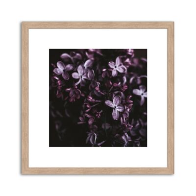 Framed design poster: Dark Purple 30x30cm, picture, mural, wall decoration