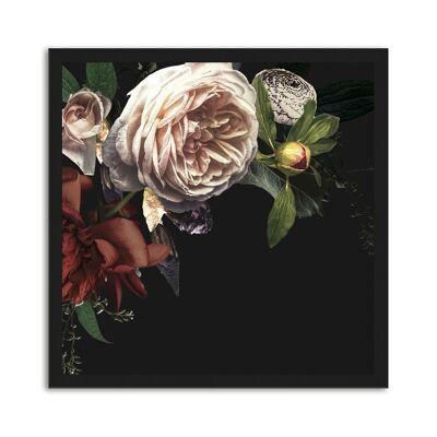 Framed design poster: Big Rose 30x30cm, picture, mural, wall decoration