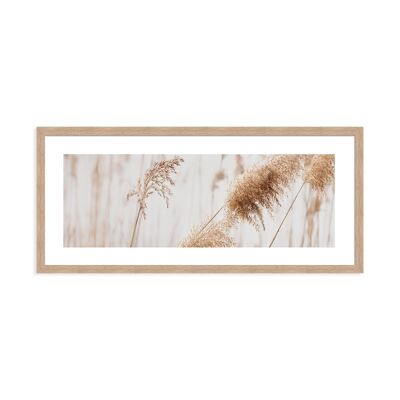 Framed design poster: pampas grass 71x31cm, picture, mural, wall decoration