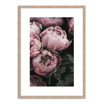 Design poster framed: peonies 71x51cm, picture, mural, wall decoration