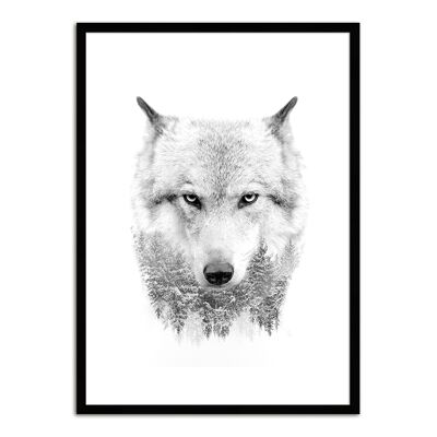 Design-Poster gerahmt: Wolf 71x51cm, Bild, Wandbild, Wanddekoration